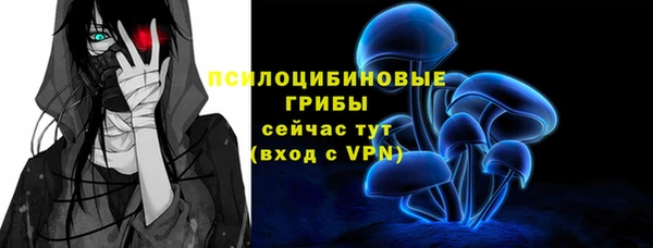 не бодяженный Бородино