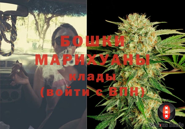 не бодяженный Бородино