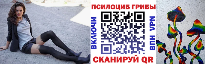 Псилоцибиновые грибы Psilocybine cubensis  Крым 
